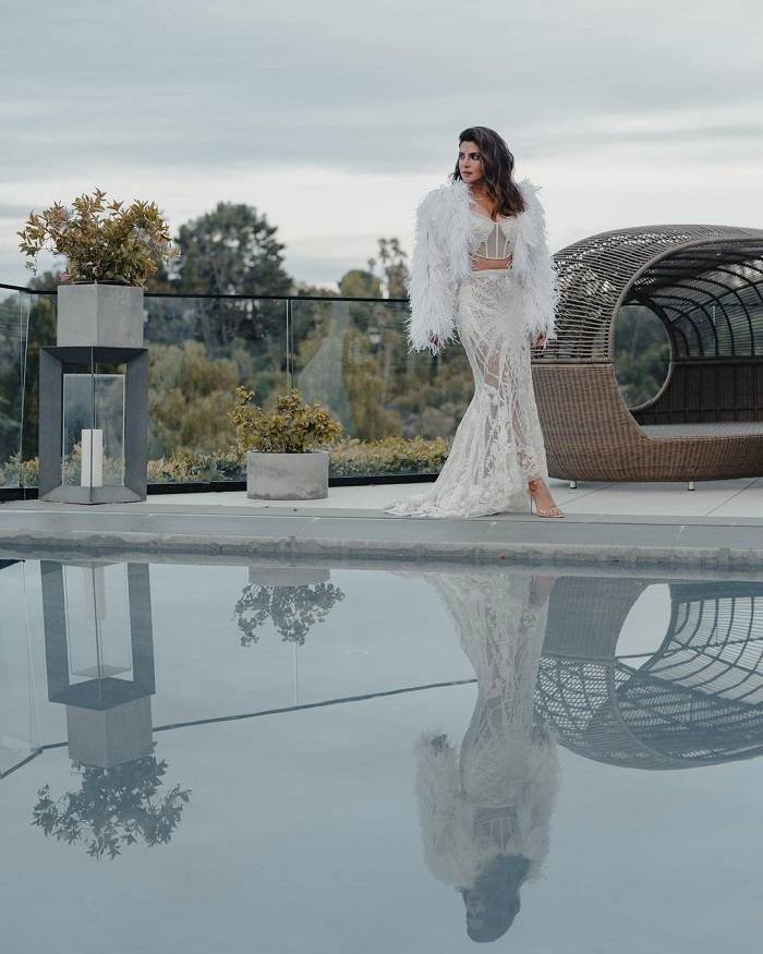 priyanka chopra_teluguvox_9